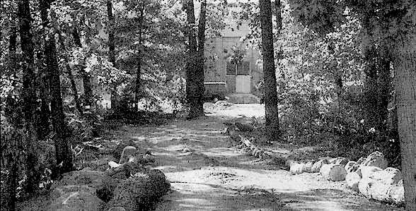 Photo of path through woods to school for Sept. 4 article, by christine seymour.jpg (50655 bytes)