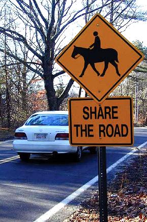 share the road horse.jpg (46665 bytes)