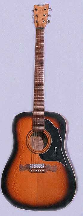 Music - 31-tone microtonal guitar neck
