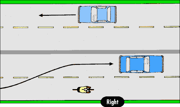 Multi Lane Road