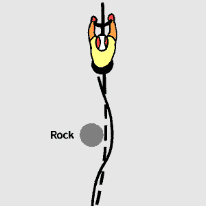 Avoiding a rock (2 kB gif)